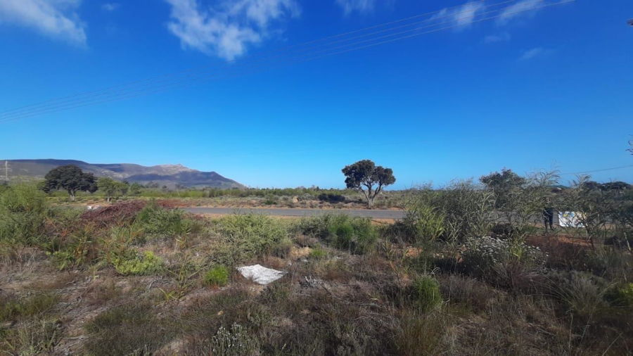 0 Bedroom Property for Sale in Fisherhaven Western Cape